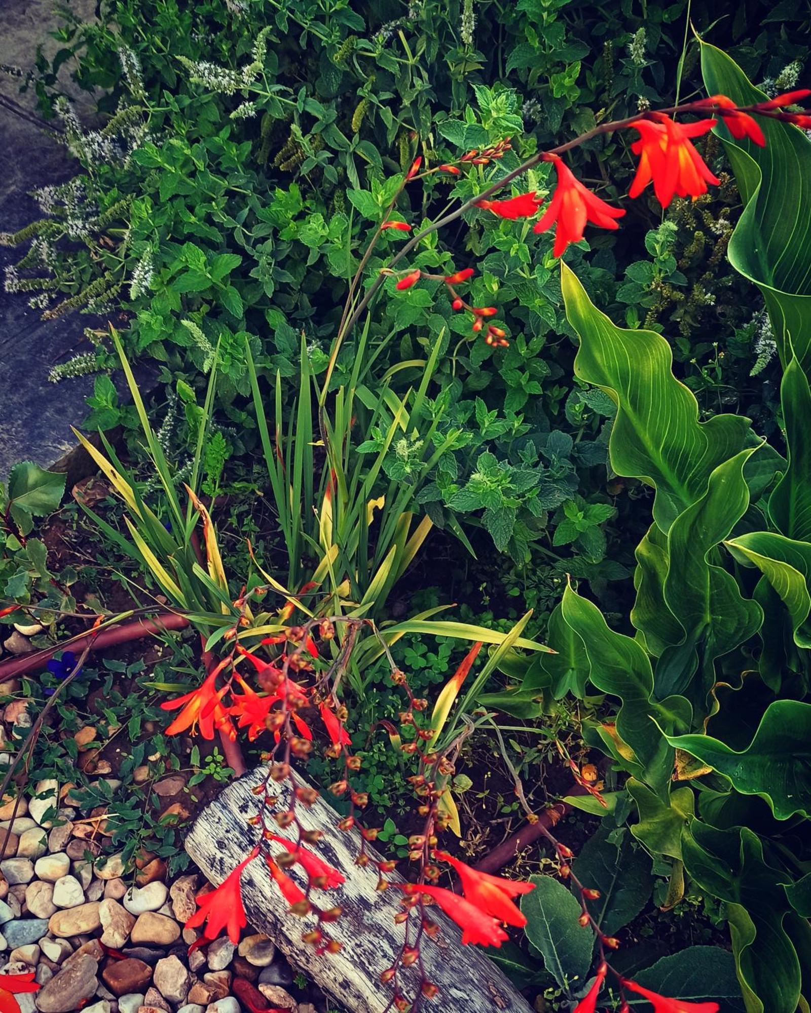 Cimanes del Tejar Las Cabanas De Tino מראה חיצוני תמונה